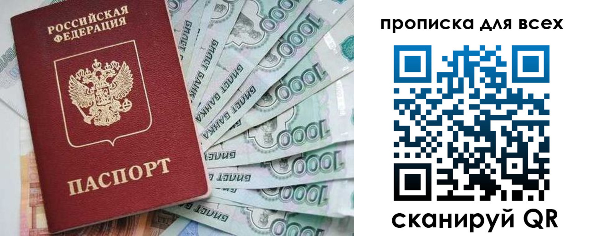 прописка гарантия в Советской Гавани